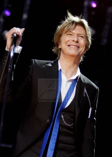 DAVID BOWIE LIVE